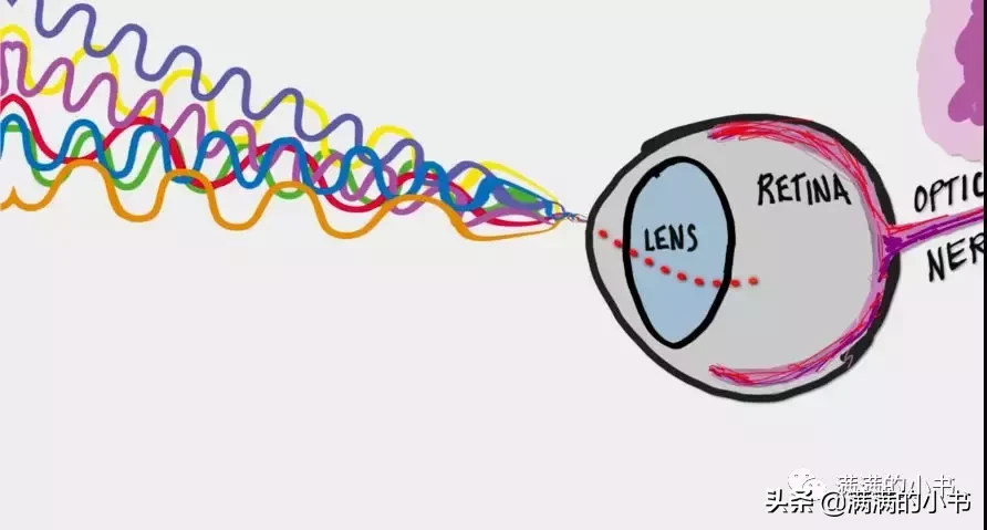 这个学习网站哈佛学生在用，没想到幼儿园小朋友也可以用！︱资源