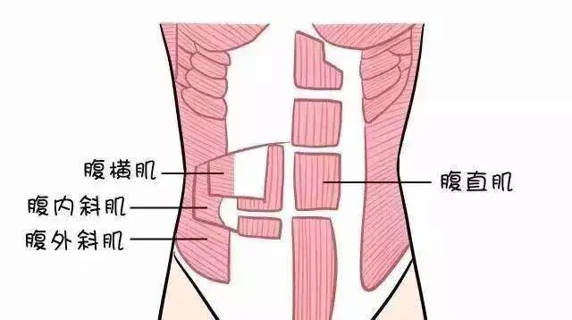 如何练成袁姗姗5年马甲线？20分钟瑜伽球卷腹，瘦出同款小蛮腰