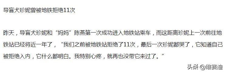 “主人你好！我叫小Q，我是一只导盲犬，我会一直陪着你的！”