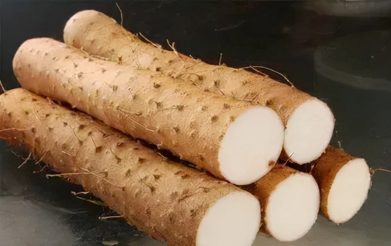 宝宝天天都想吃(宝宝天天都想吃东西)