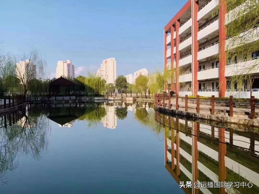 鼎石、包玉刚、世外、深外国际部等三十多所国际学校开放日汇总