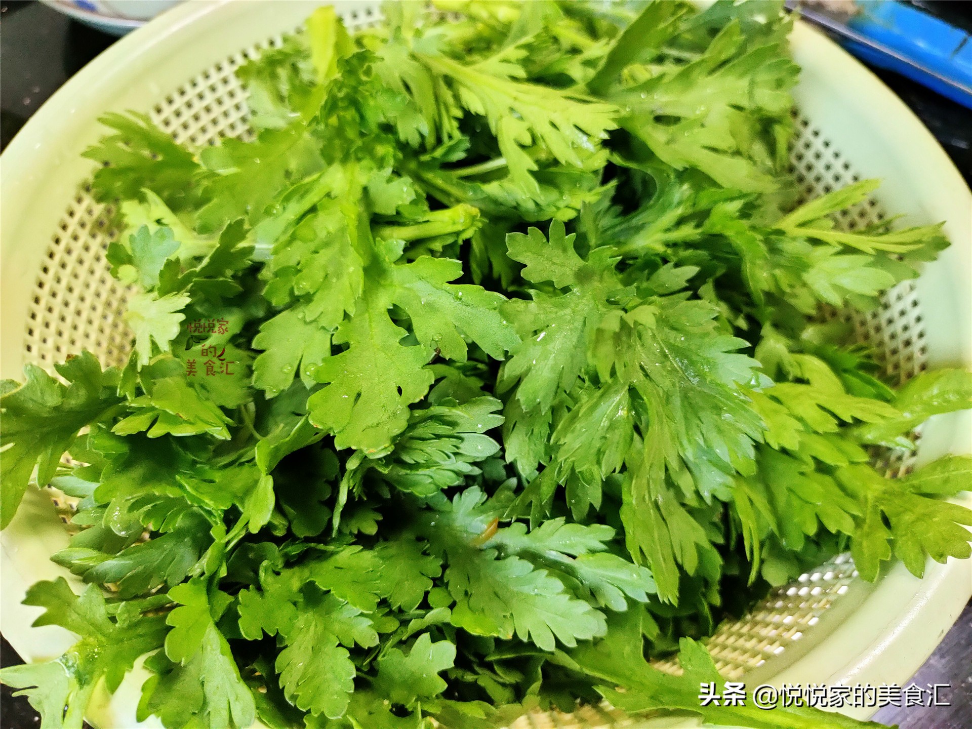 桐花菜怎么做好吃(宁不吃肉也要给孩子吃这菜)