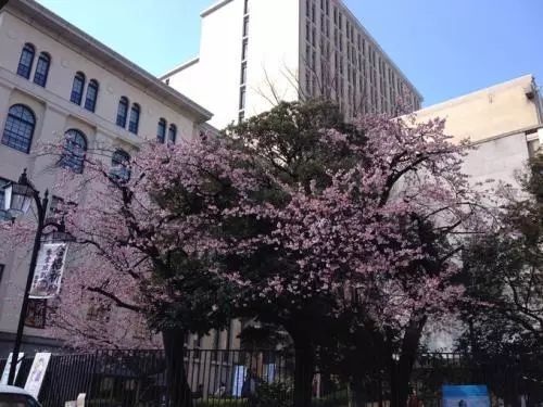 早稻田大学到底有多牛？七位日本首相、近三分之一国会议员的学府