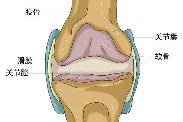 骨关节炎是怎么来的？关节疼痛时，吃氨基葡萄糖管用吗？