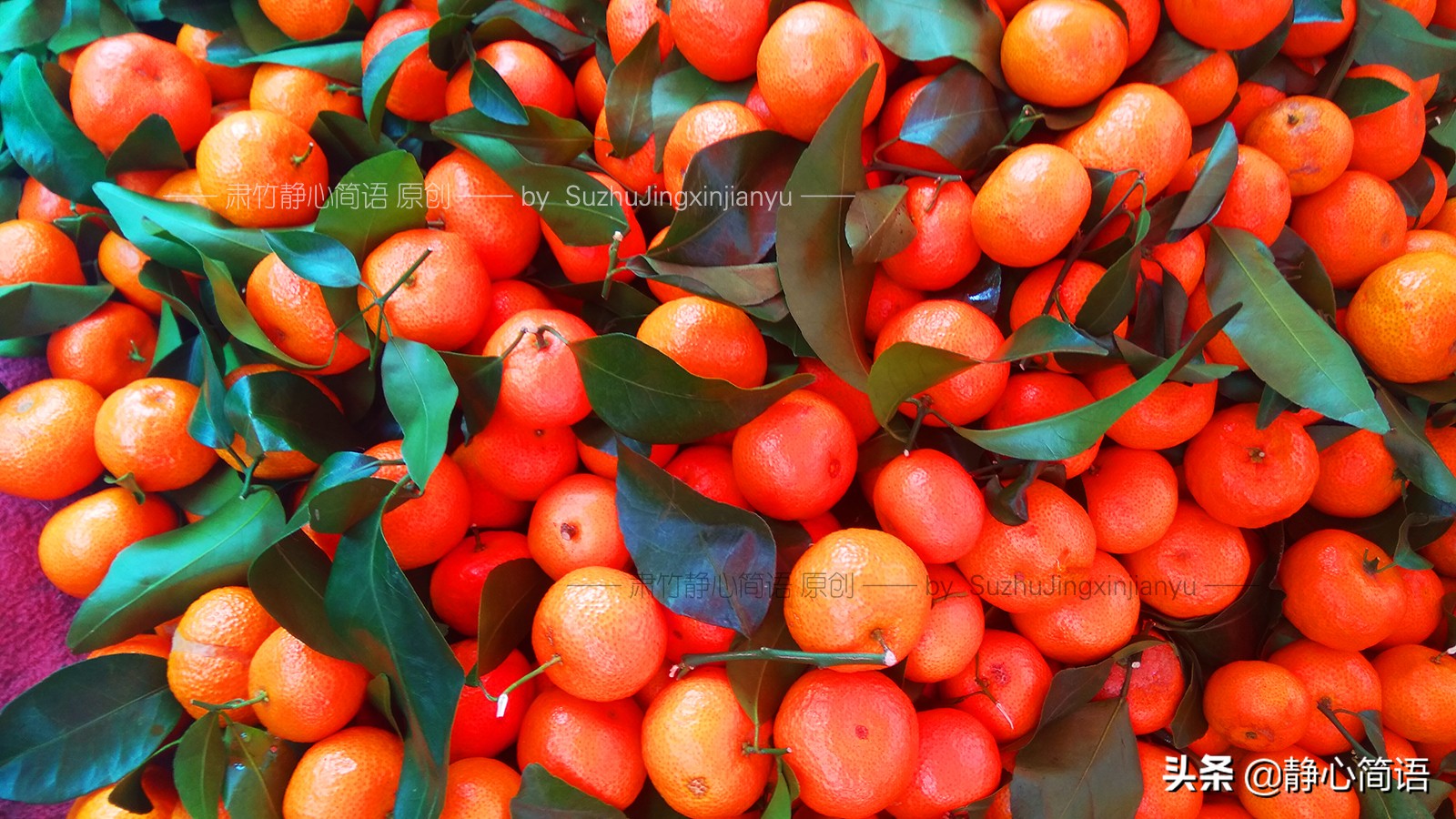 我们的家事，能够留下记忆的，越来越简单