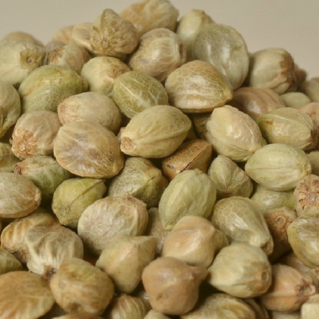 火麻仁的功效与作用 火麻仁图片大全-文化号