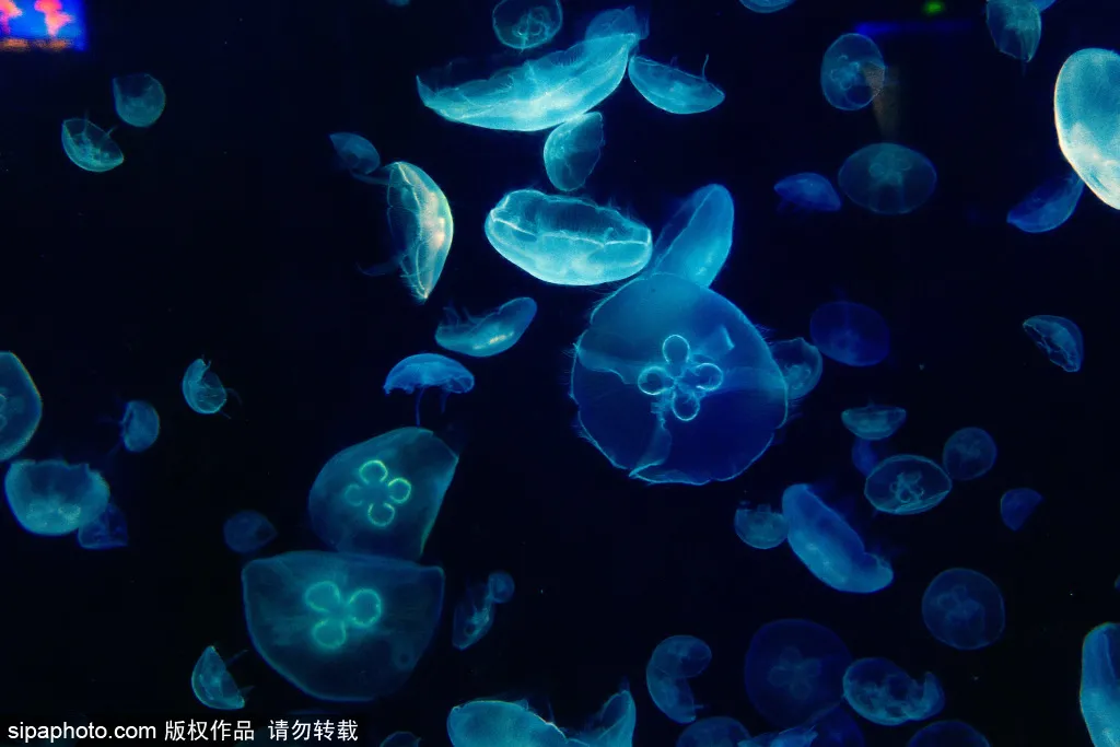 好消息!周末北京这些好玩好看的地方,半价!免费!只要……