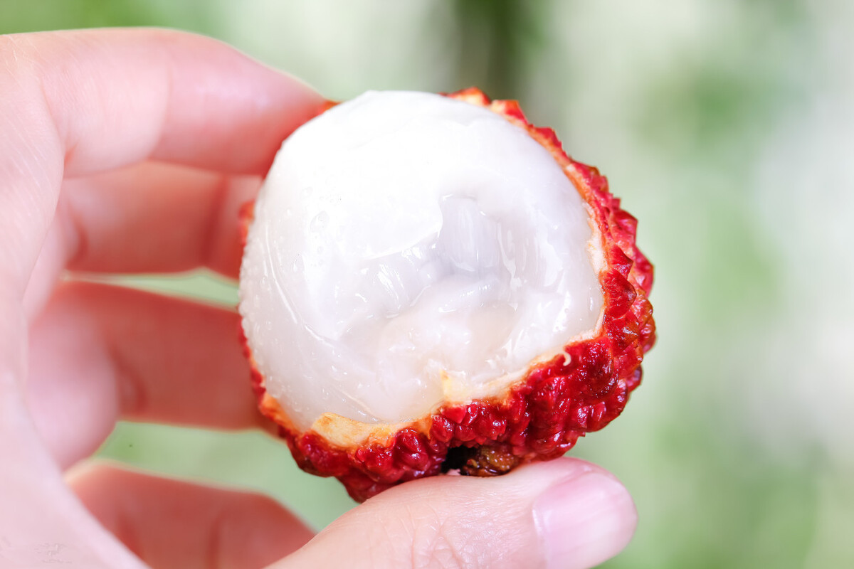 荔枝几月份最好吃(荔枝最好吃的季节)-第3张图片-华展网