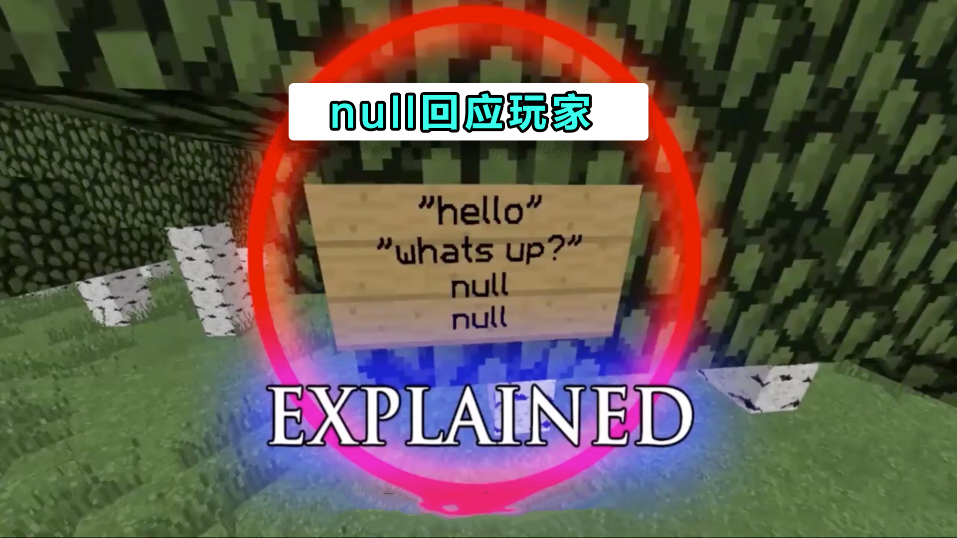 null什么意思「罚款null扣分null什么意思」