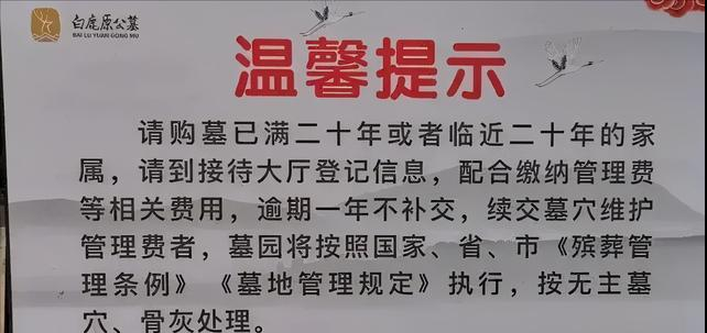 发现邻居买房不住人，专门用来存放骨灰盒，我们能否报警？