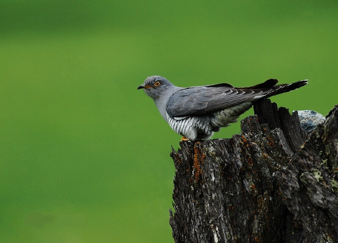 天府之国的由来(天府之国最早出自于哪里) - 盾灵网