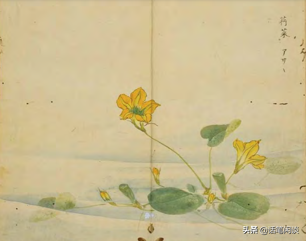 日本学者用心为《诗经》编了数百种图解，万物有灵，又美又细腻