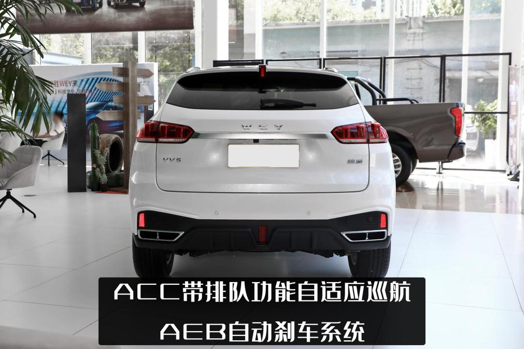 冲着年轻人来的魏派VV5，赢得了年轻用户，就赢得了市场？
