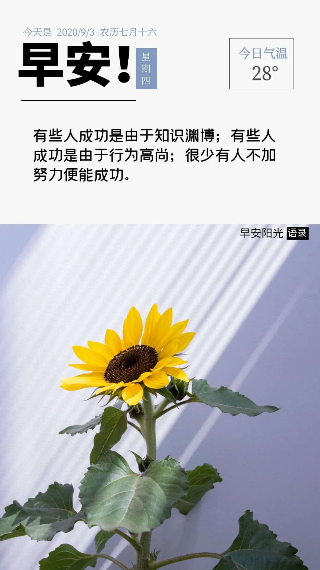 早安正能量句子：花开不是为了花落，而是为了开的更加灿烂