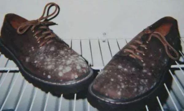 皮鞋皮包起皱又显旧？教你一招，30秒一抹变亮，效果堪比抹蜡油