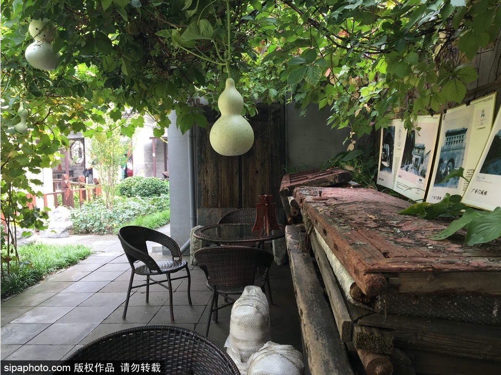 胡同记忆 | 漫步北京胡同 情系历史文脉
