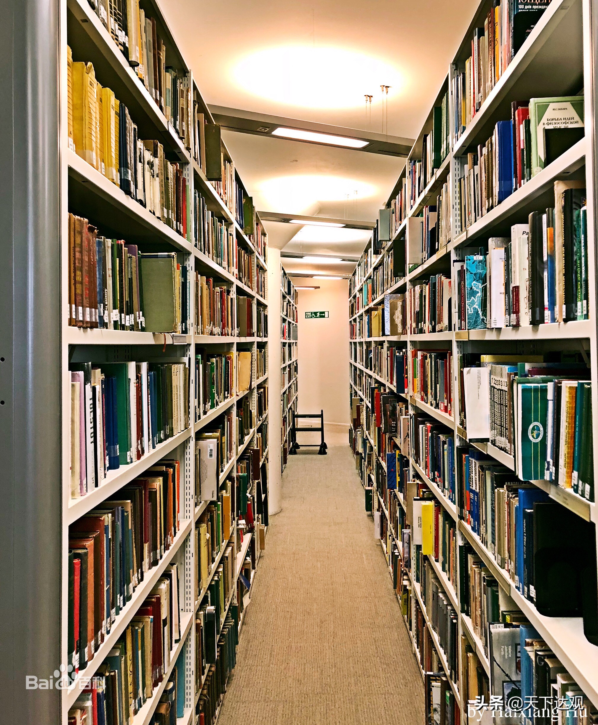 伦敦大学学院｜1826年创立于英国伦敦，世界顶尖公立研究型大学