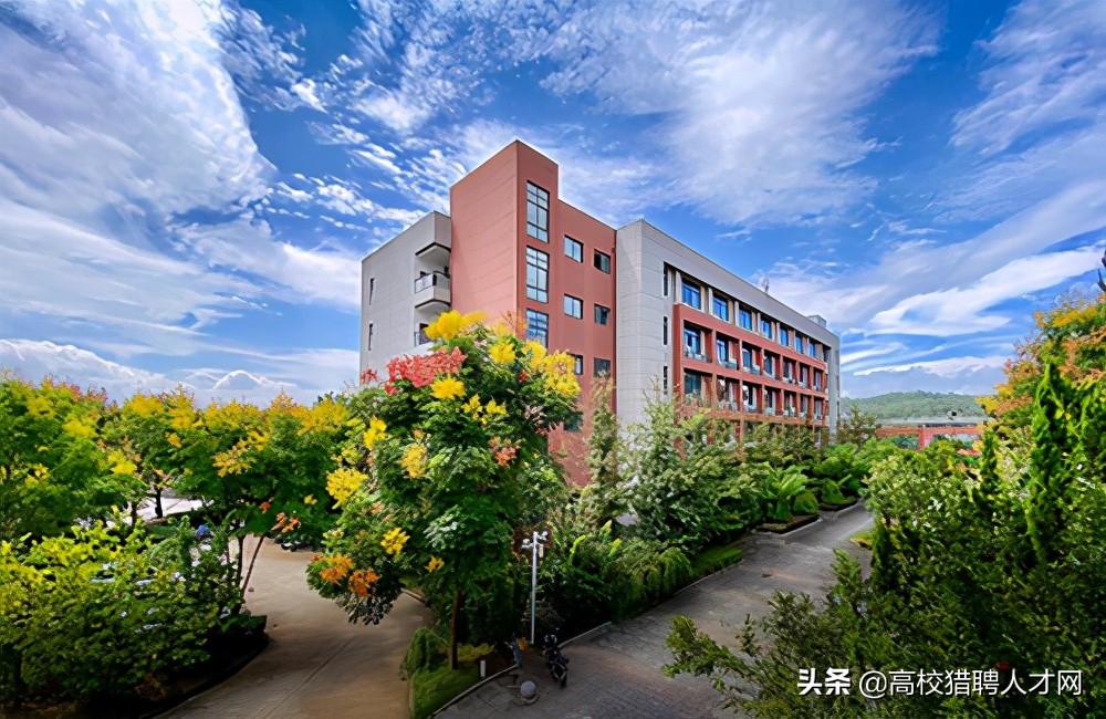 浙江省丽水学院2021年人才招聘