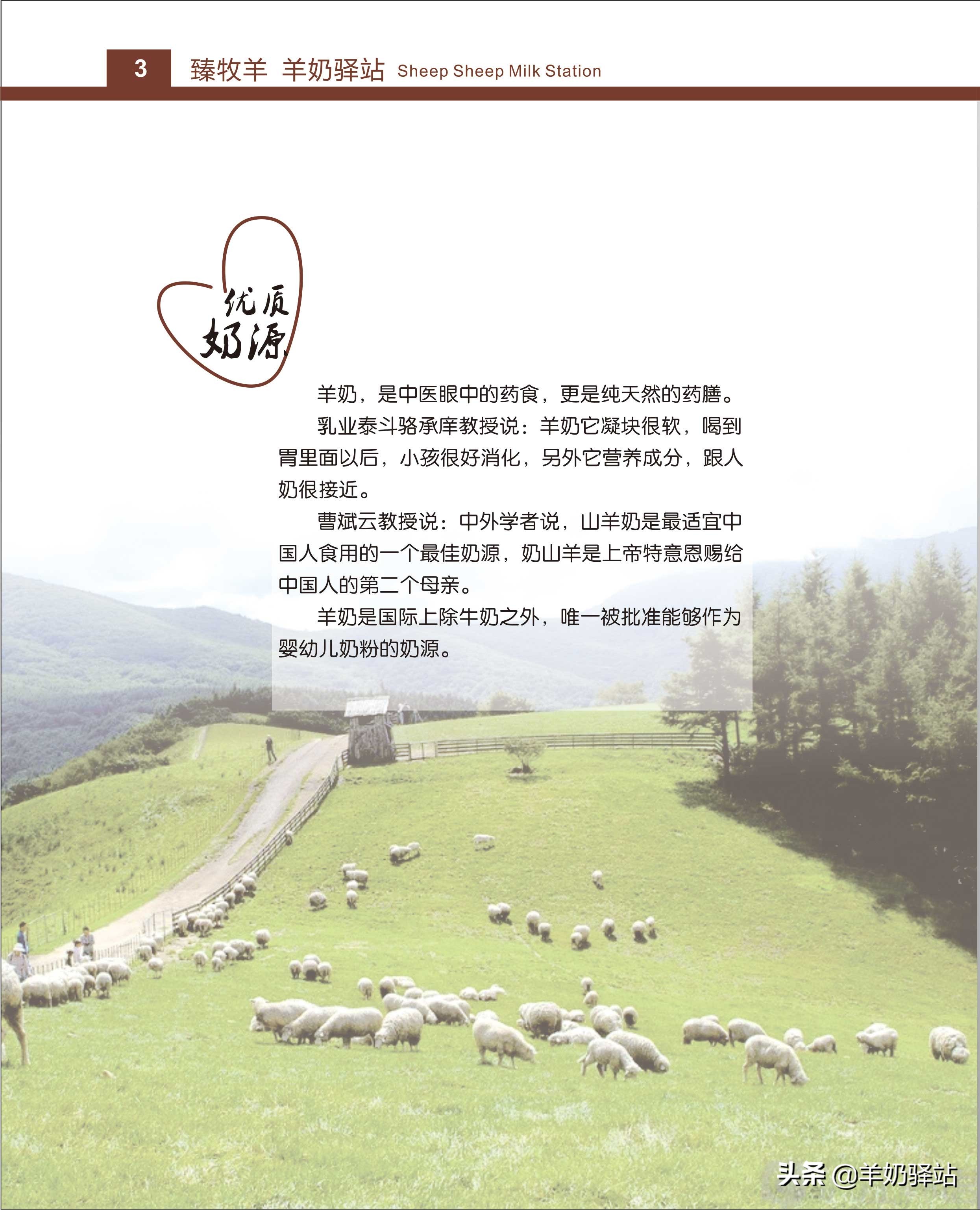 投资几万元，盈利几十万！羊奶驿站全国连锁加盟项目招商说明