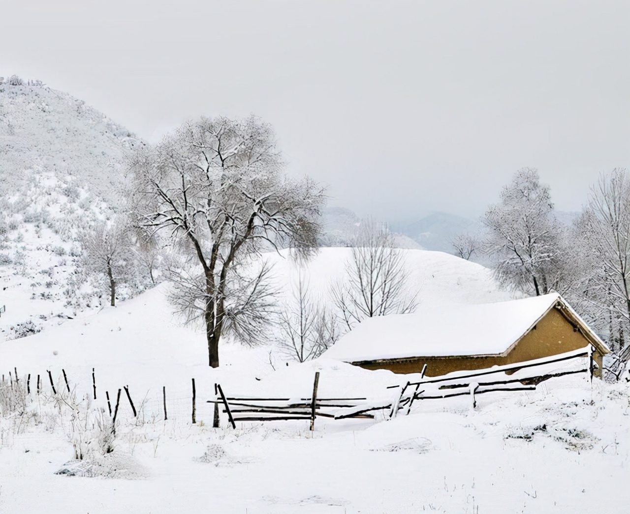 关汉卿的《大德歌・冬景》，其艺术性堪比柳宗元的《江雪》