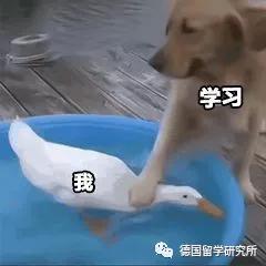 干货送上，德语专业学姐教你如何跨专业申请！拿走不谢