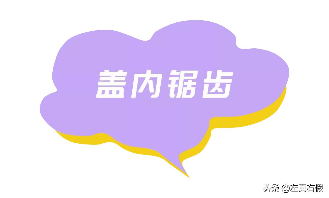 兰芝唇膜真假辨别（兰芝夜间保湿修护唇膜真假辨别）