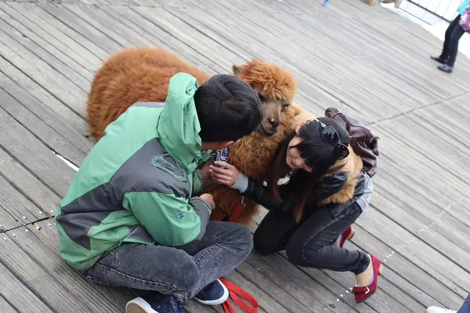 家门口小水沟摇身一变景观河！这些旅游陷阱，旅游达人都未必知道