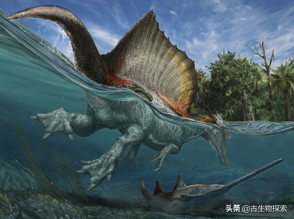 恐龙王兽进化图图片