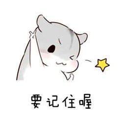 杭州8月小客车摇号结果已经公布！你中签了吗？附查询入口