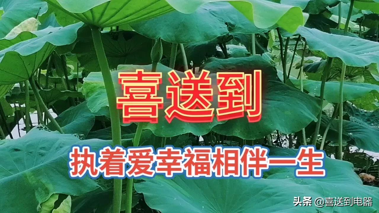 冒菜加盟需要注意哪些关键要点，细节，方面问题？值得一看