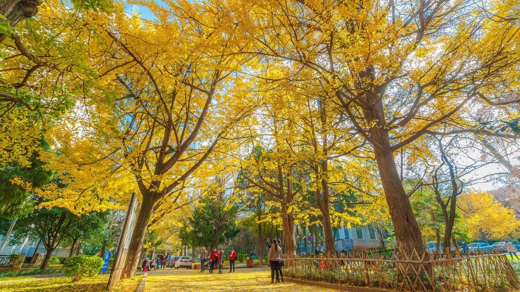 云南大学吞并红会医院后，成功获批临床医学！