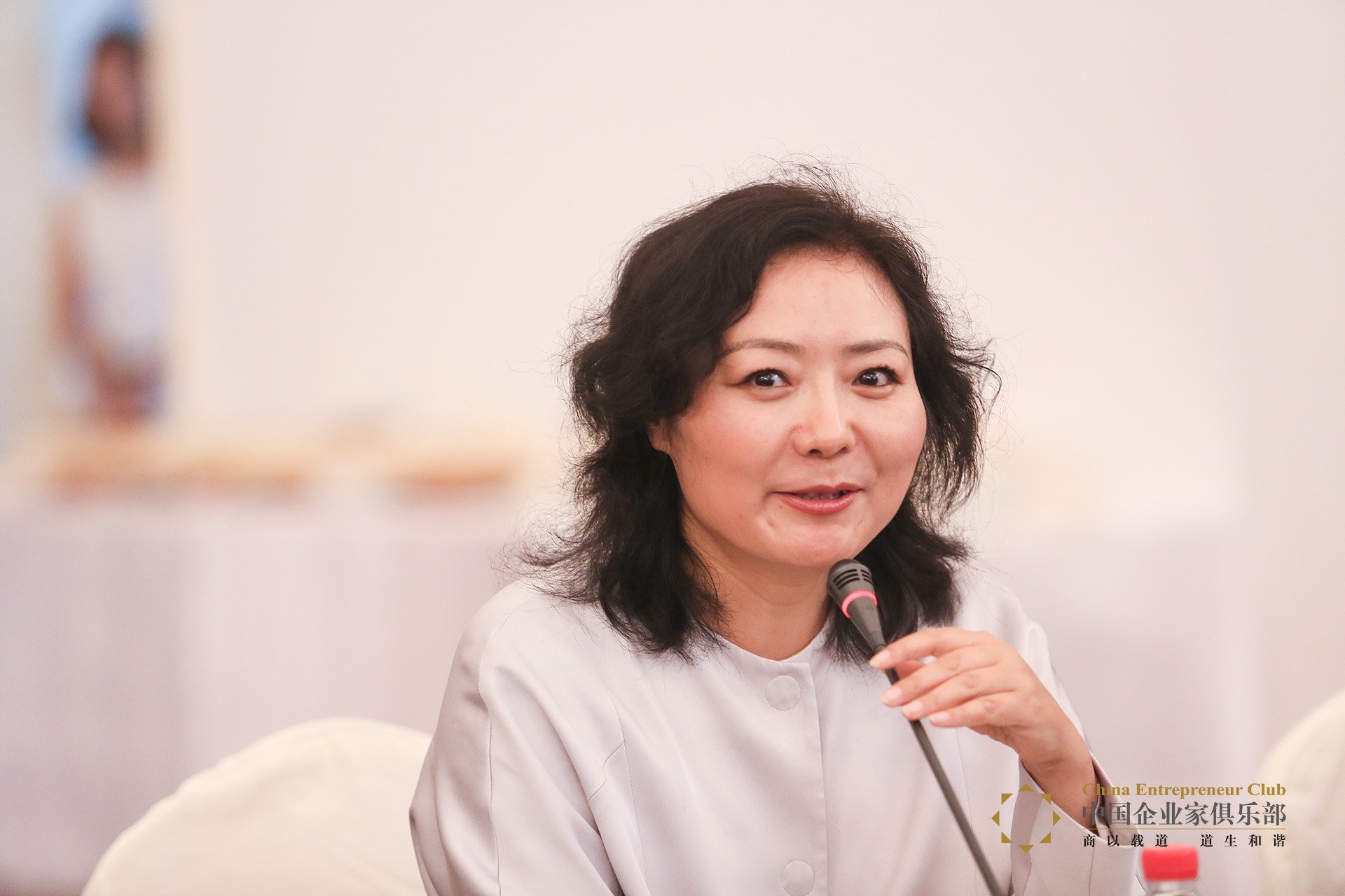 中国十大美女企业家 中国最美的女企业家 中国美女总裁盘点