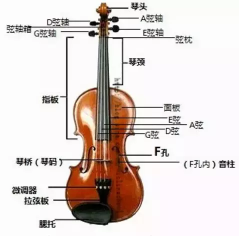小提琴有多少根弦组成，全面的小提琴介绍组成