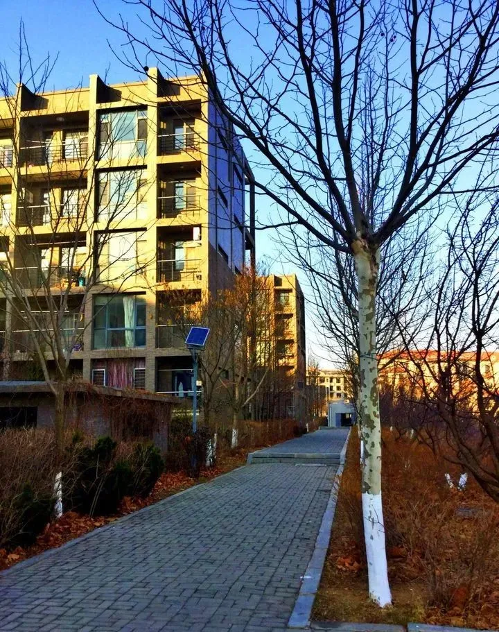 艺考资讯 | 九大美院的校园景色battle，也是神仙打架