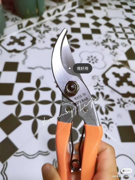 植物生长需要什么（4种养花常备的必需品介绍）