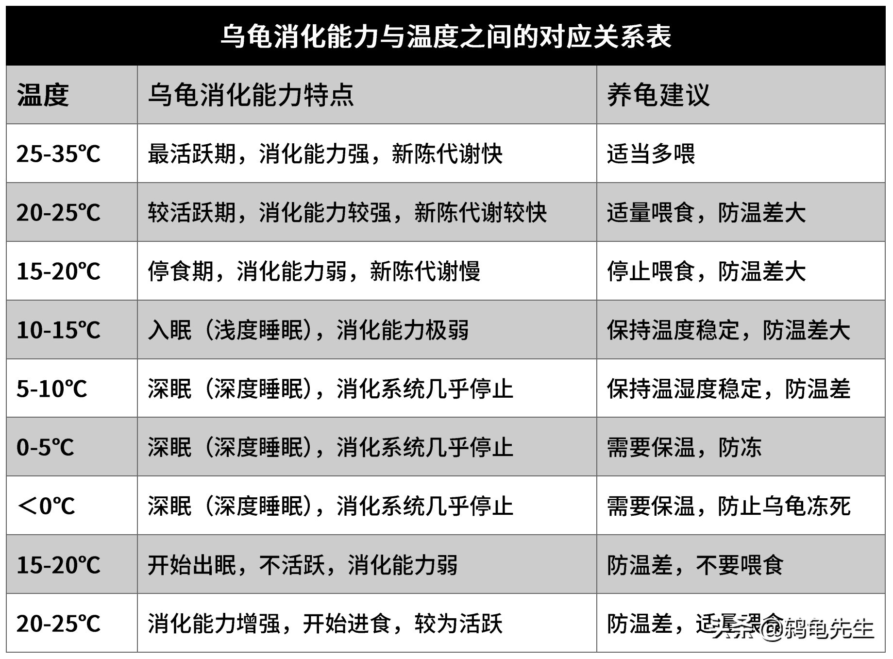 室内有暖气乌龟不冬眠应该怎样养？鸫龟先生详解冬季供暖养龟方法