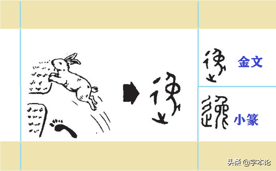 "逸"字最早见于金文,从兔,彳,止,后来彳和止合为"辵"表示跑的动作.
