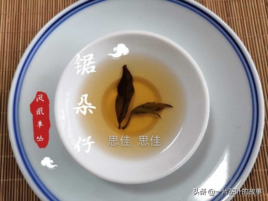 凤凰单丛的十大香型，香气从何而来？
