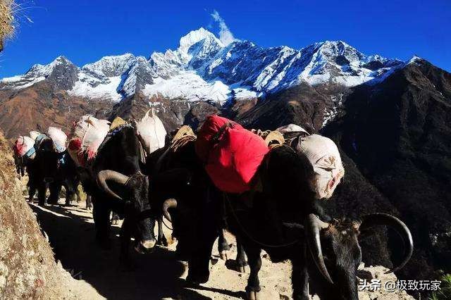 登一次珠峰要花45万，贫穷不仅限制了你的想象，还限制了登山