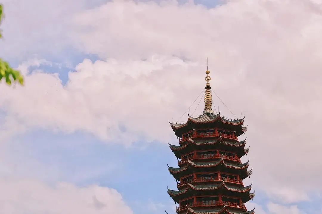 重磅发布！2020年南方医科大学普高招生章程