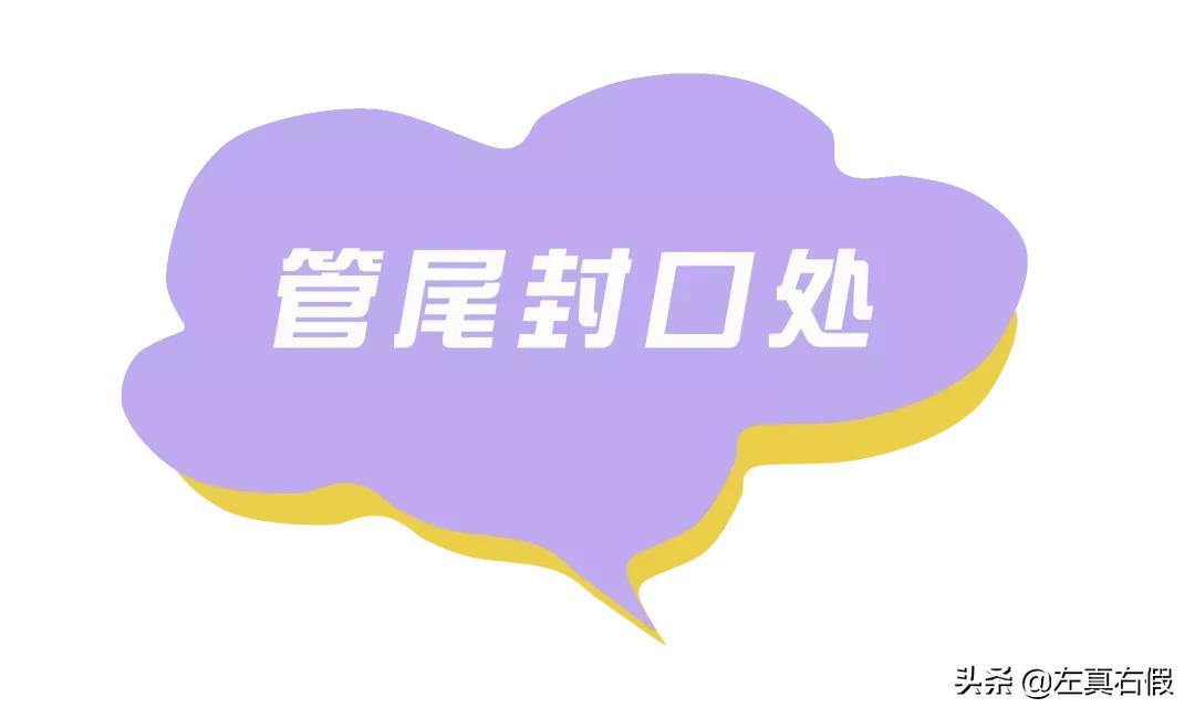 新版cpb隔离真假辨别图片（cpb隔离真假辨别方法）