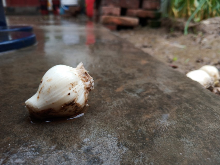 雨后，清晨