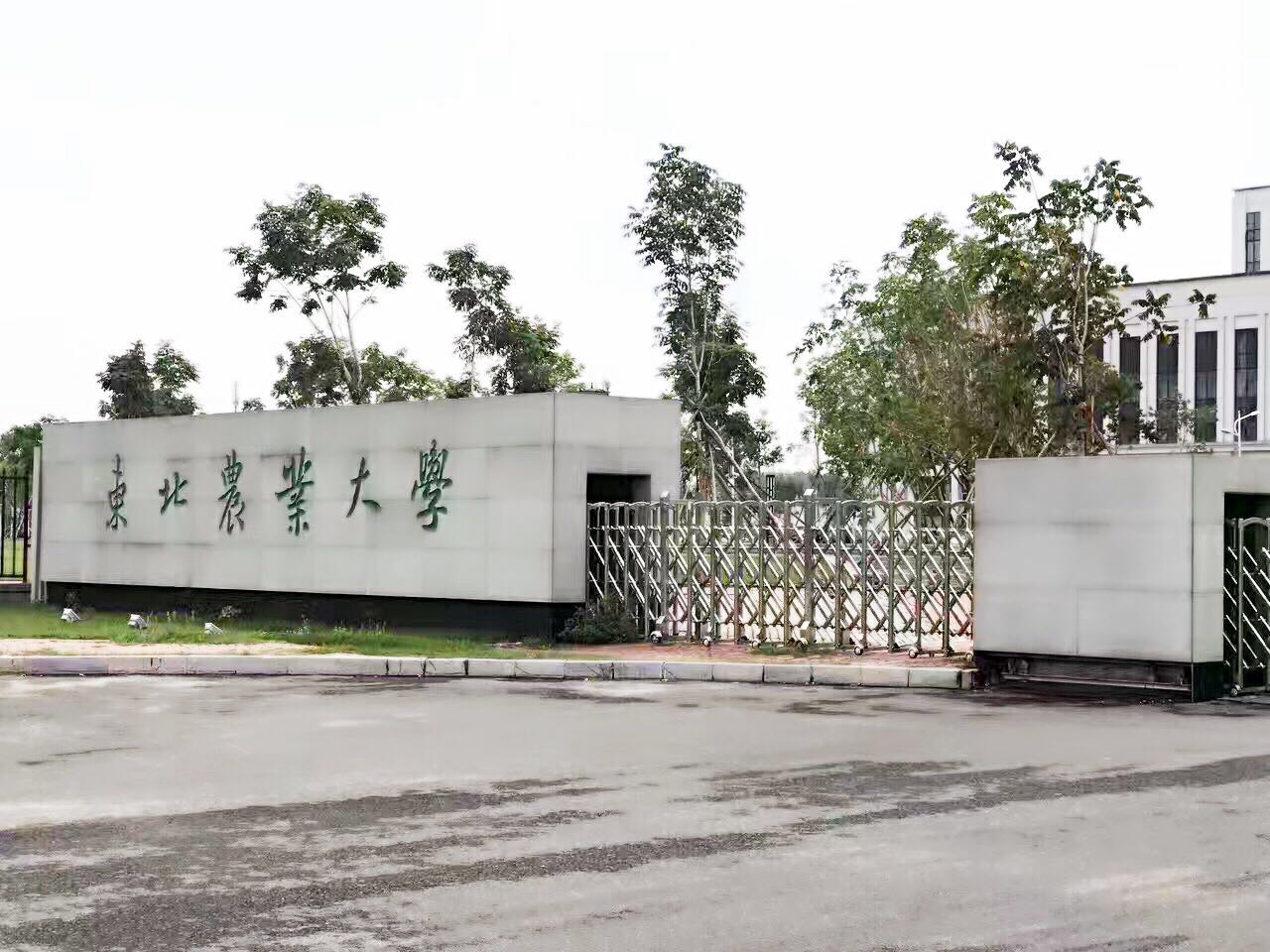 黑龙江大学排名，东北农业大学仅排第三，哈工程是第二