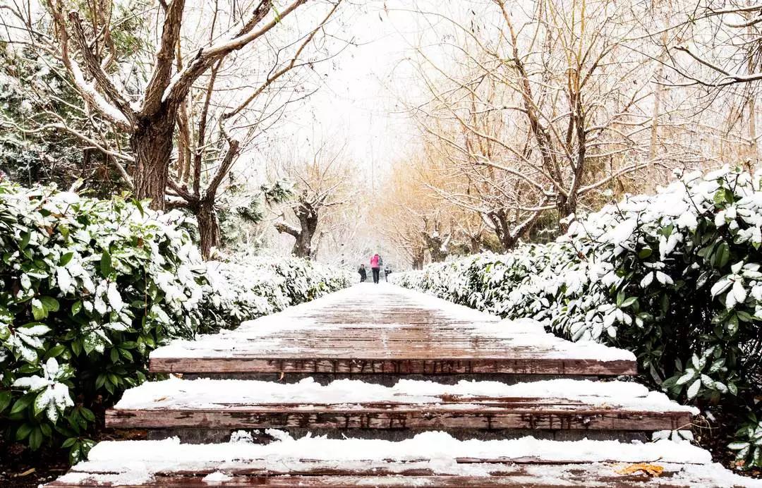 宝藏图书馆、网红食堂、四季如画的超美校园！中国石油大学（华东）等你回家