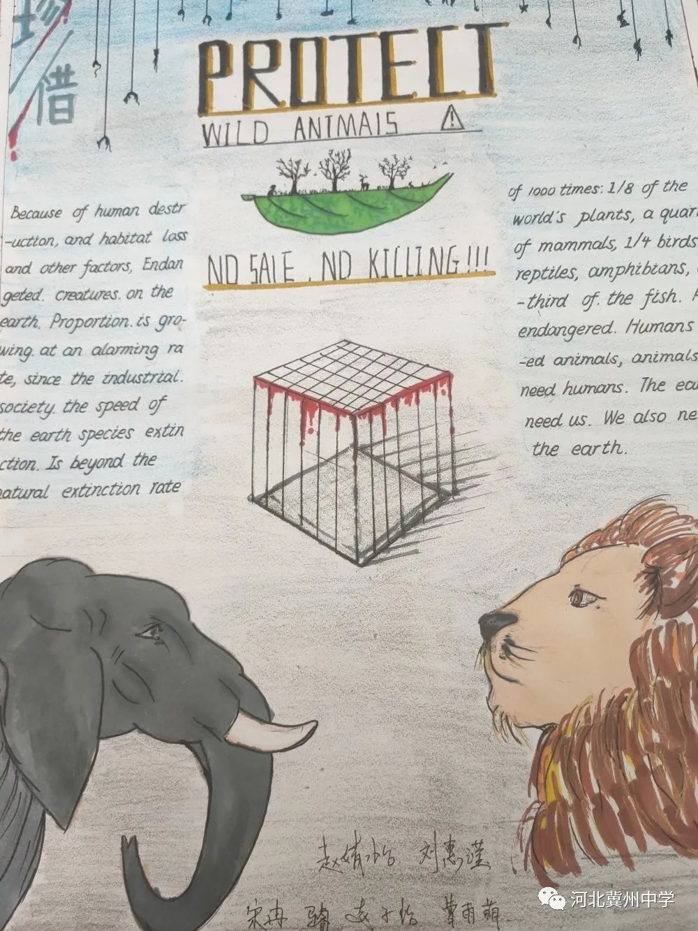 六年级英语俱乐部海报（高一英语组举办创意海报设计活动）