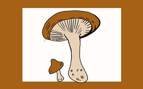 超甜睡觉故事长篇「5篇」