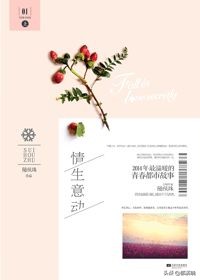 关于律师的小说（6部经典好评的）