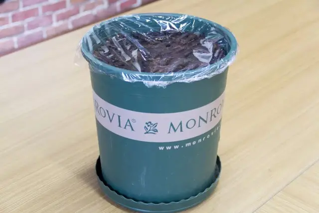 用这16种可以利用的厨余垃圾，家庭简易堆肥造出肥沃疏松的土壤