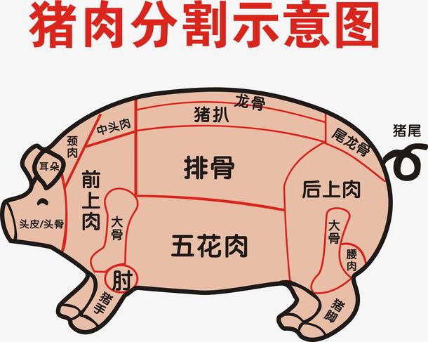 前槽肉是哪个部位（买猪肉内行专挑这四个部位）