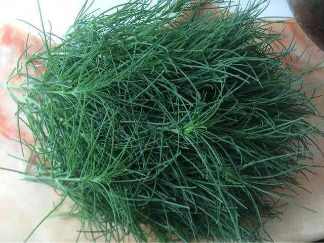 关于地肤草的散文_晶羽科技